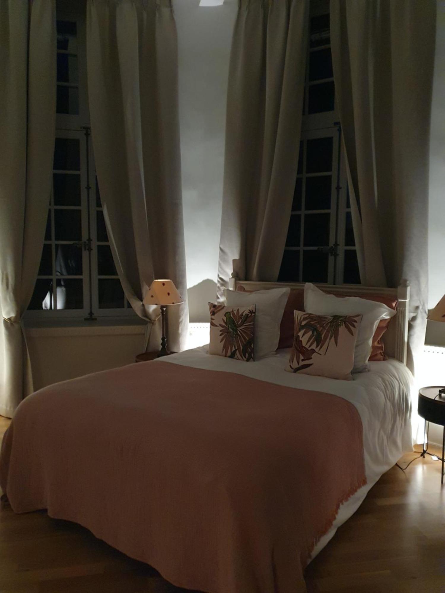Chateau Du Bois De La Noe Bouaye Eksteriør billede