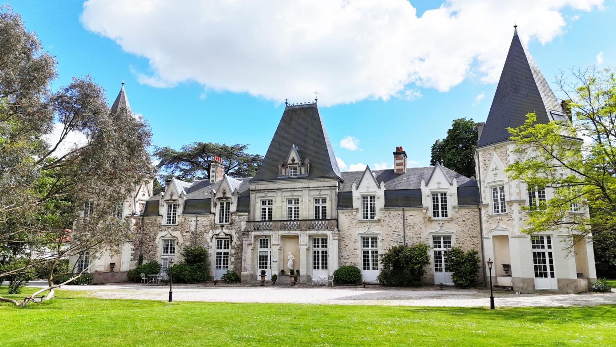 Chateau Du Bois De La Noe Bouaye Eksteriør billede