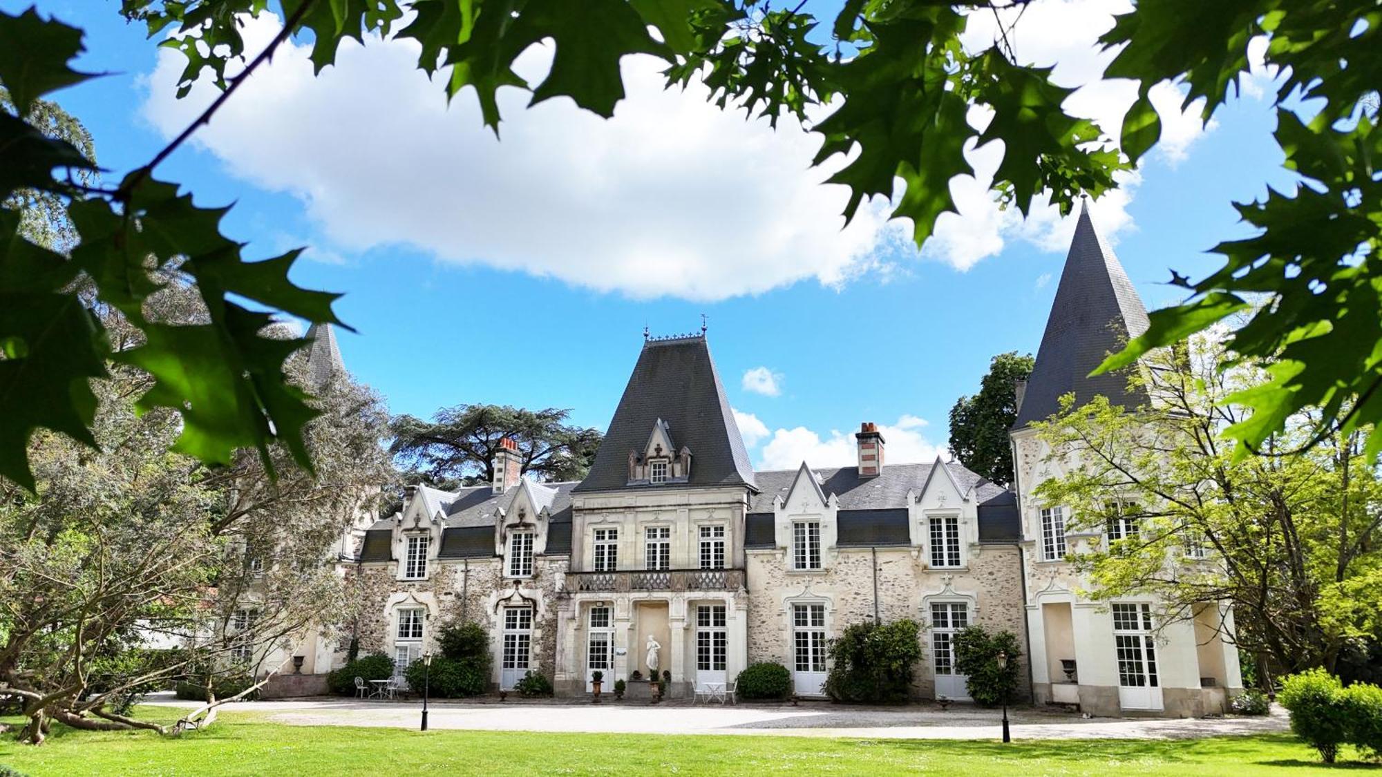 Chateau Du Bois De La Noe Bouaye Eksteriør billede