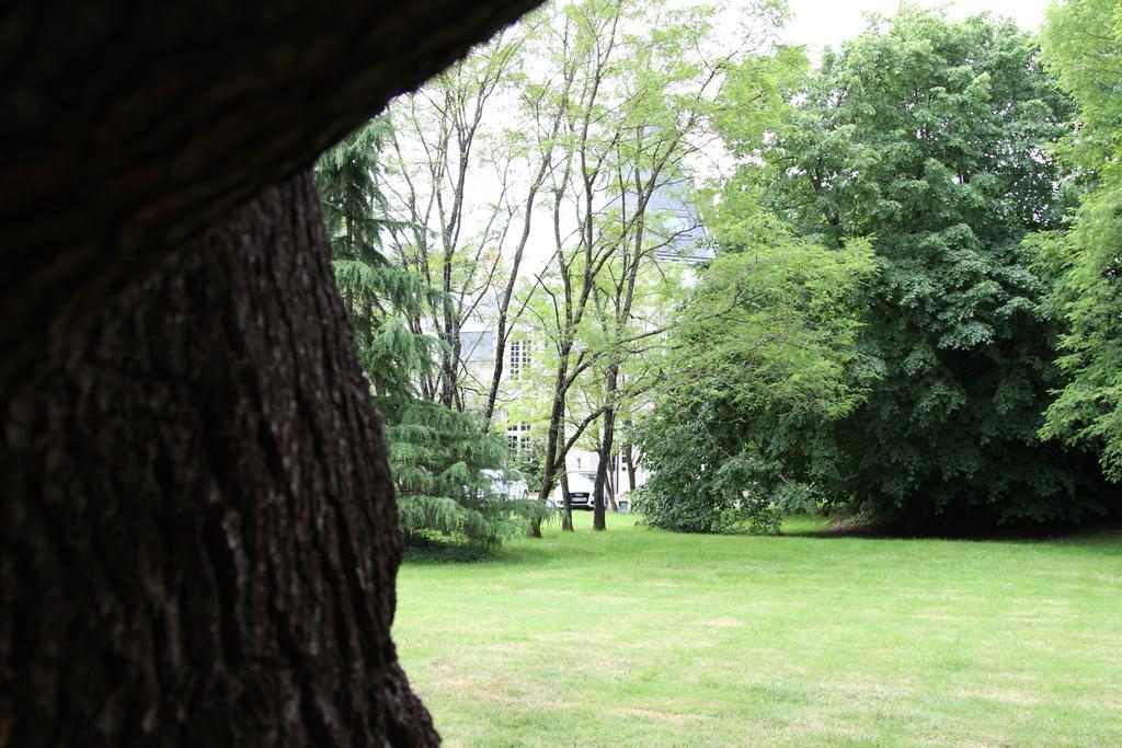 Chateau Du Bois De La Noe Bouaye Eksteriør billede