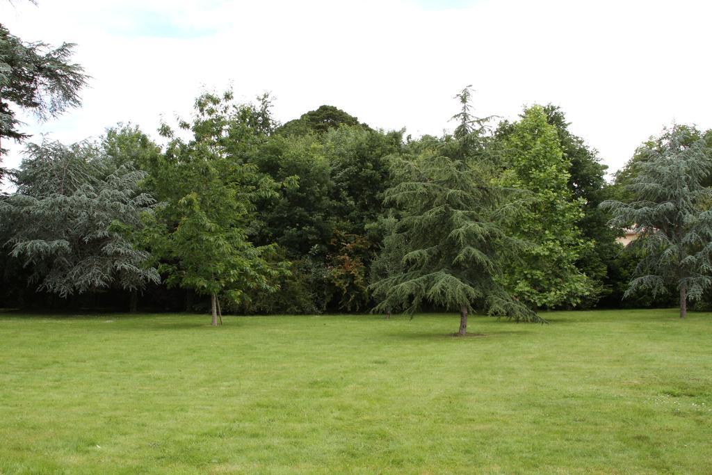 Chateau Du Bois De La Noe Bouaye Eksteriør billede