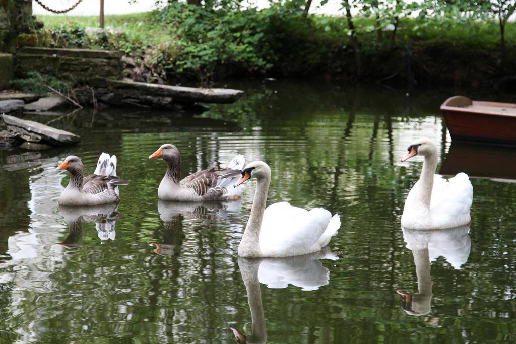 Chateau Du Bois De La Noe Bouaye Eksteriør billede
